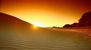 43 Sahara Wonderland